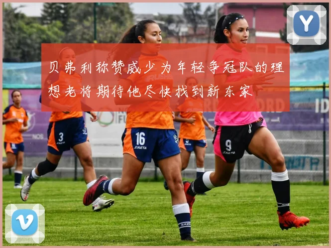 贝弗利称赞威少为年轻争冠队的理想老将期待他尽快找到新东家
